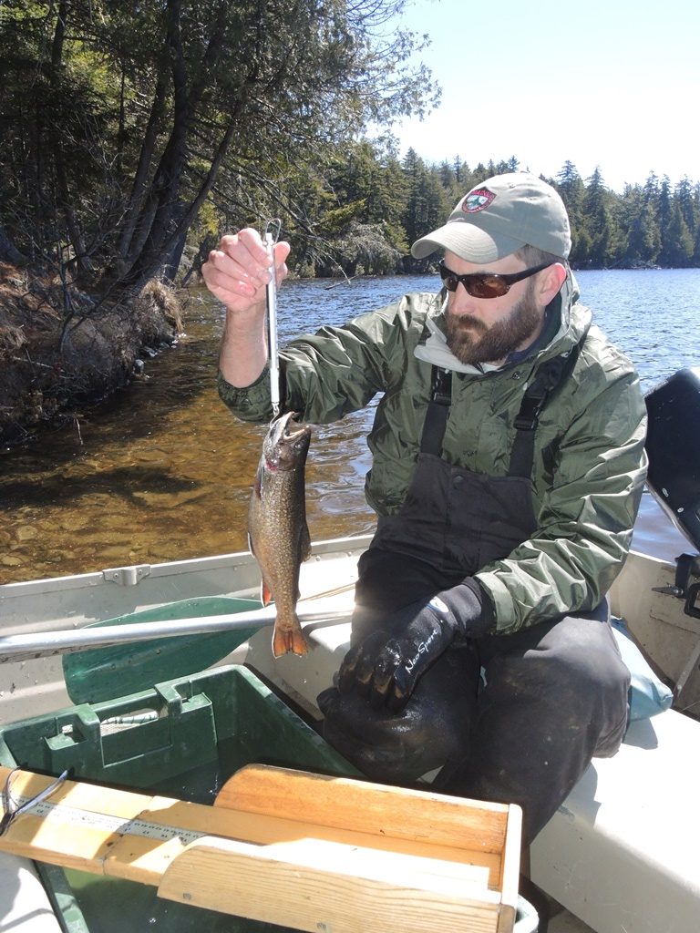 Brook Trout Flourish In Little Moxie Pond After Removing Suckers