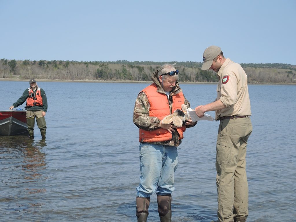 oil spill training 05-12-16-017 small