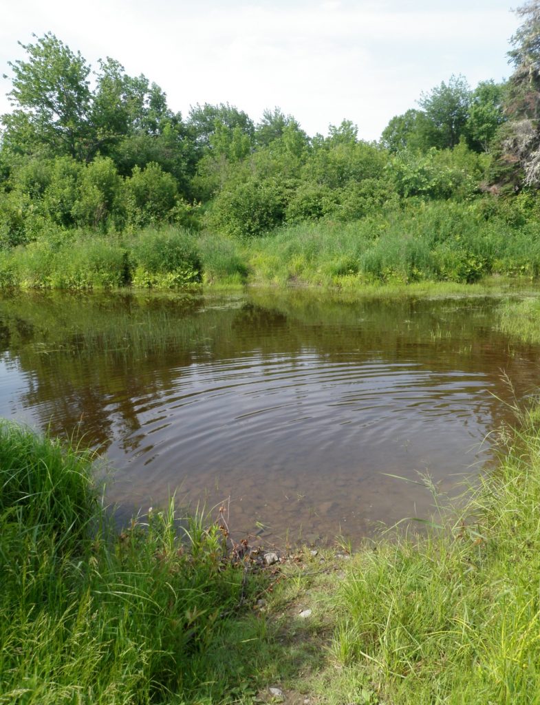 Water crossing to island