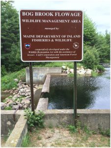 2016July5_WMA Signs_BogBrook After_WEB