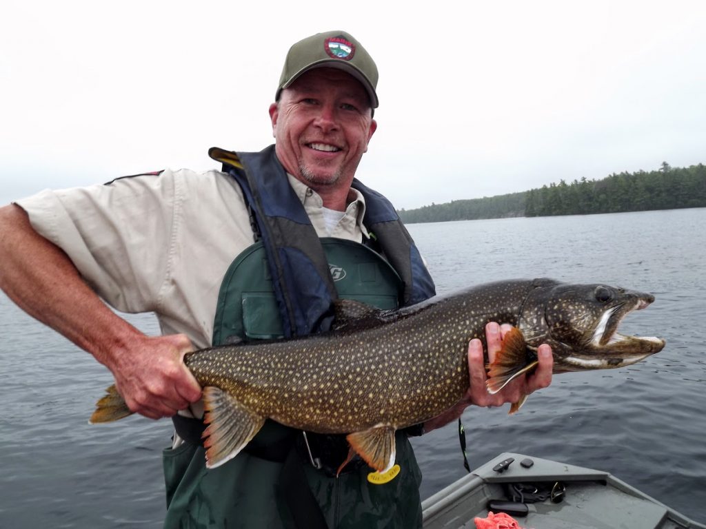 Tom Barrows hoists another wild togue that exceeds 30 inches. Echo Lake has a wild togue population that IFW fishieries biologists monitor. In Echo Lake, the abundance of smelt is the key to a thriving coldwater fishery. As this picture attests, both the Echo Lake togue and smelt populations are doing well.