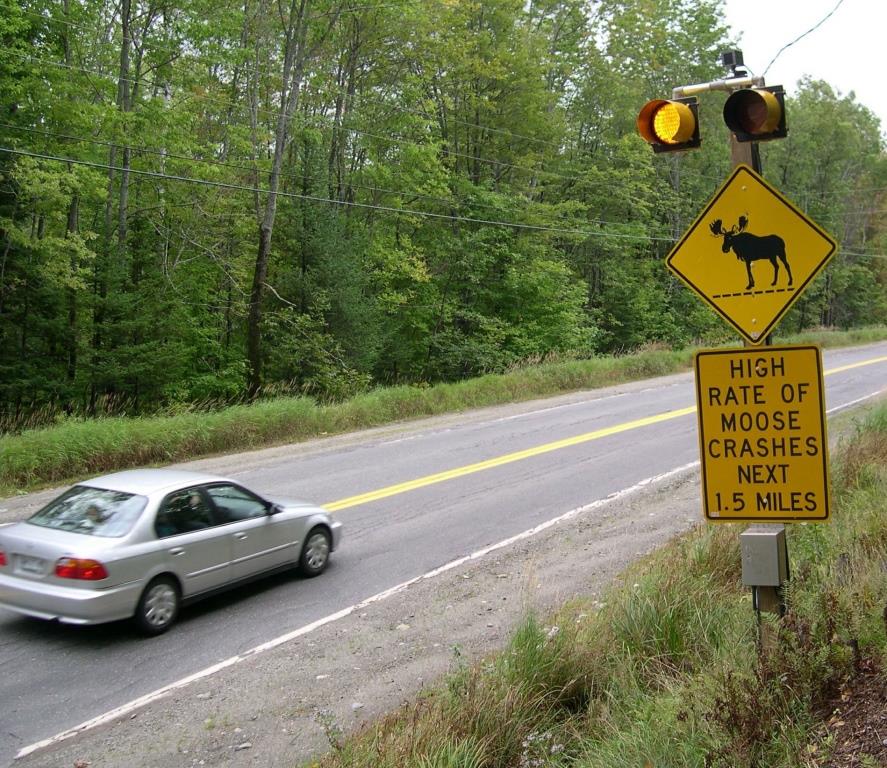 Motion-activated signs such as this one alert motorists to areas of high moose activity 