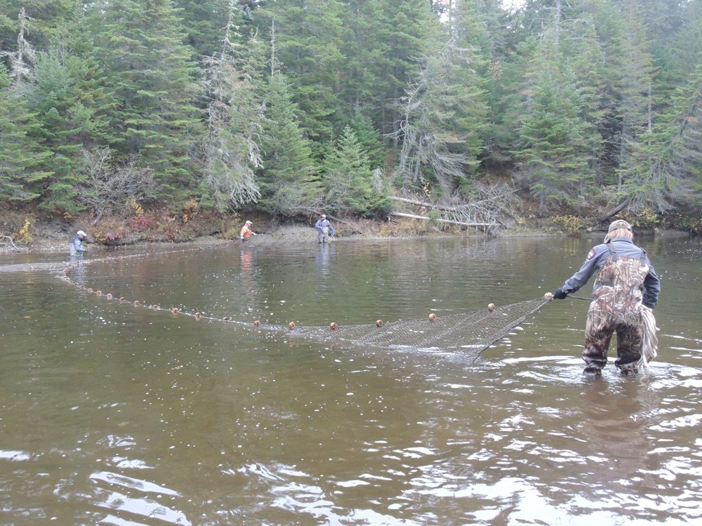 And then looped along the far bank of Steep Bank Pool.