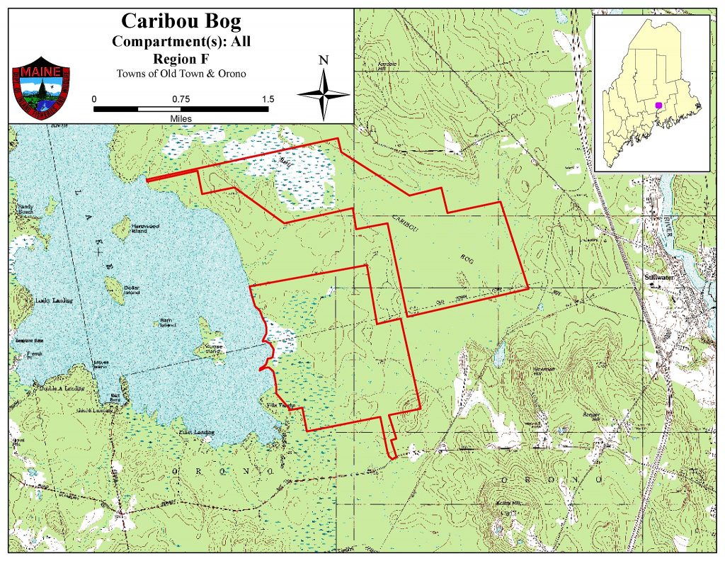 caribou-bog-topo_web