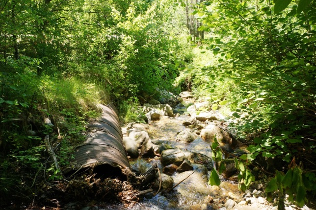 Cat Alley Brook – The offending culvert. State Route 26 can be seen above center. The downstream box culvert is the ‘dark spot’ below the roadway at left.