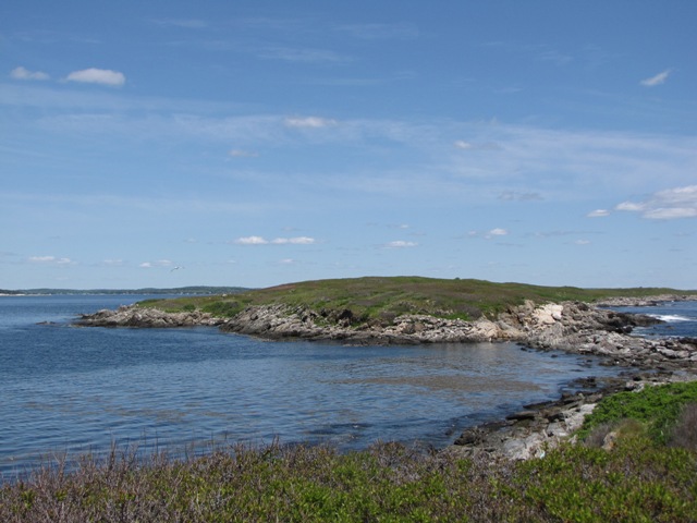 Damariscove Island