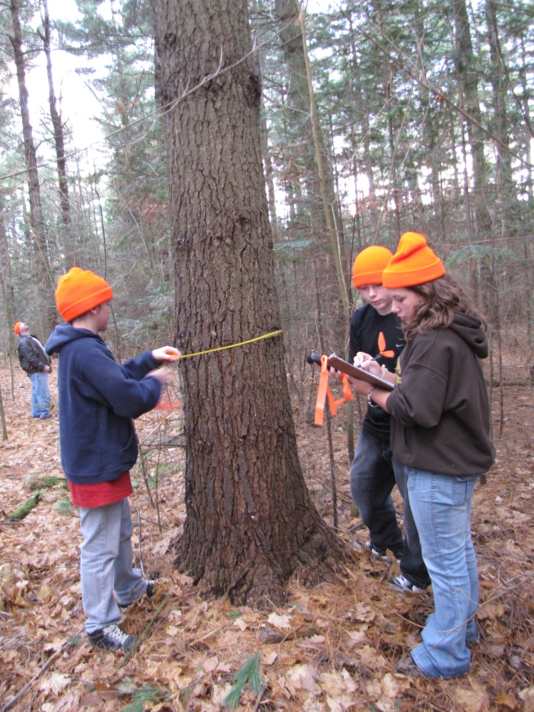 TeamOrange