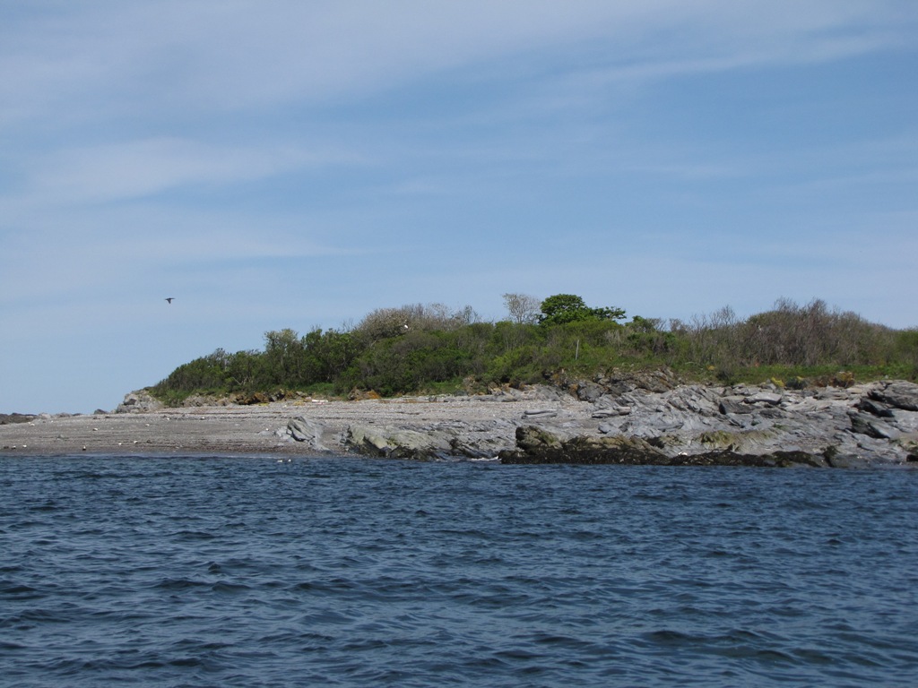 Stratton Island heronry.