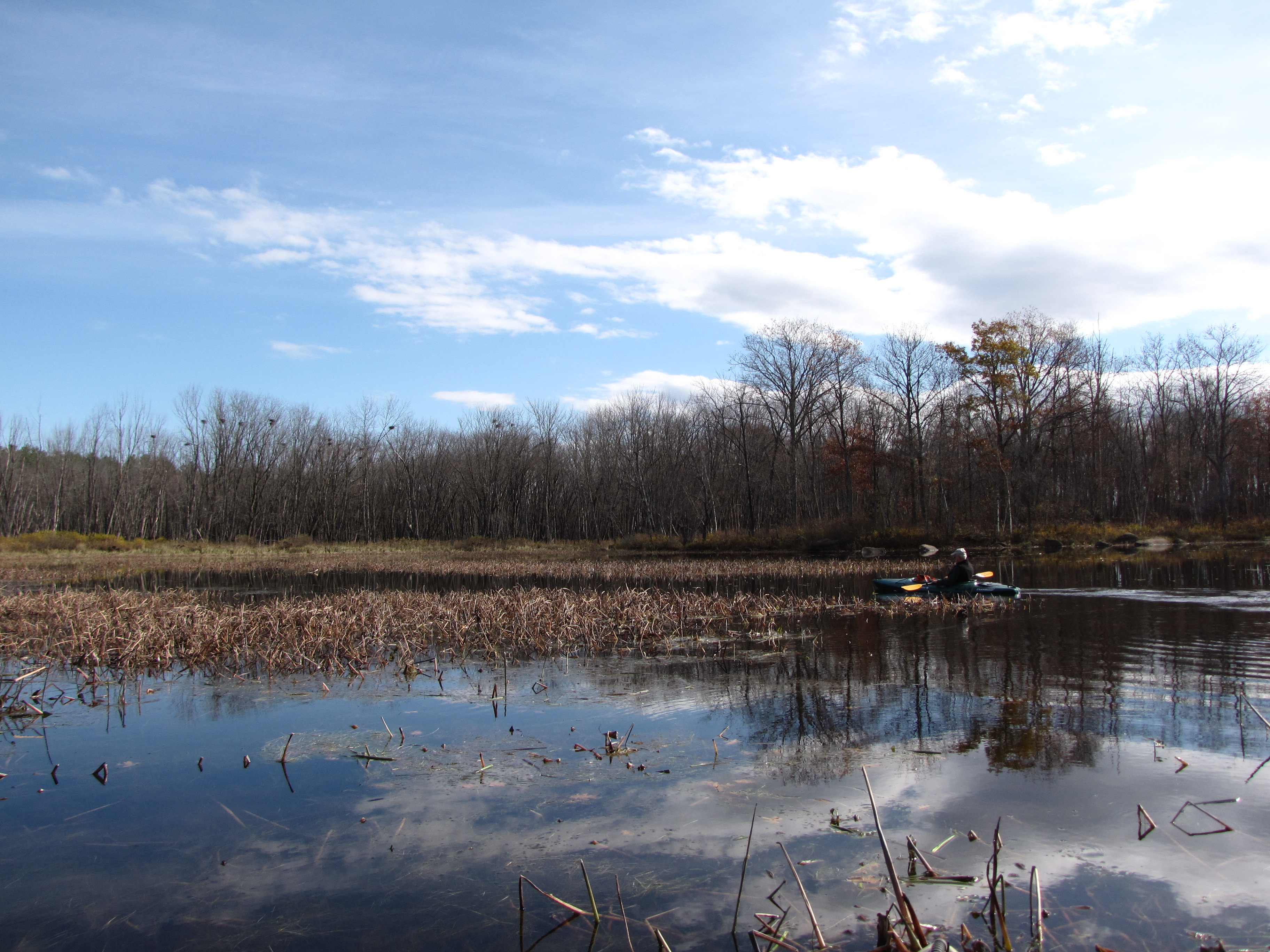 Paddling around a bit.