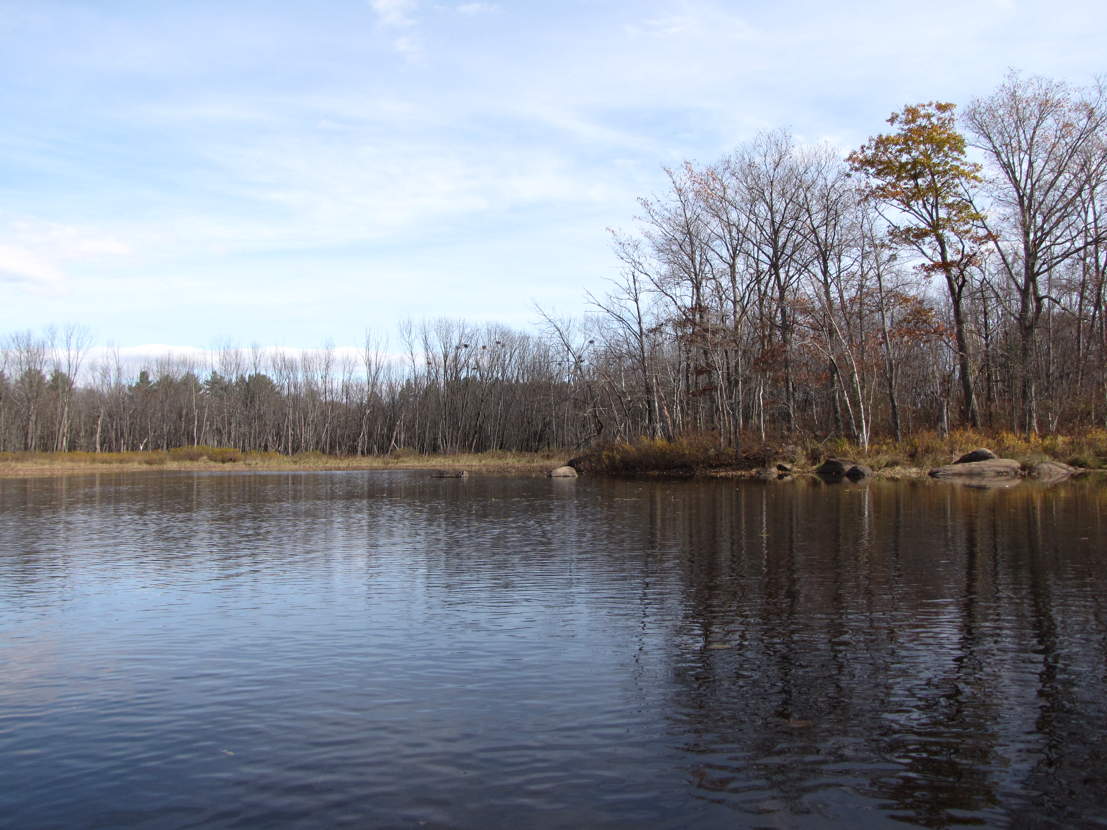 The approximate view from where we may set up a time-lapse camera to document disturbances.  This colony failed mid-season, but the cause is thus far unknown.