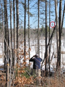 Volunteer, Rick Lawrence scanning the colony. One great blue heron was observed and is circled in red in this photo.