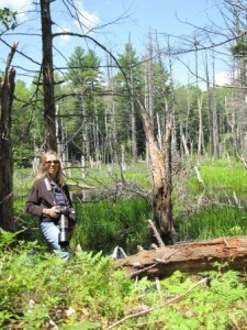 HERON volunteer, Linda Panzera, with camera in hand while observing a great blue heron colony.