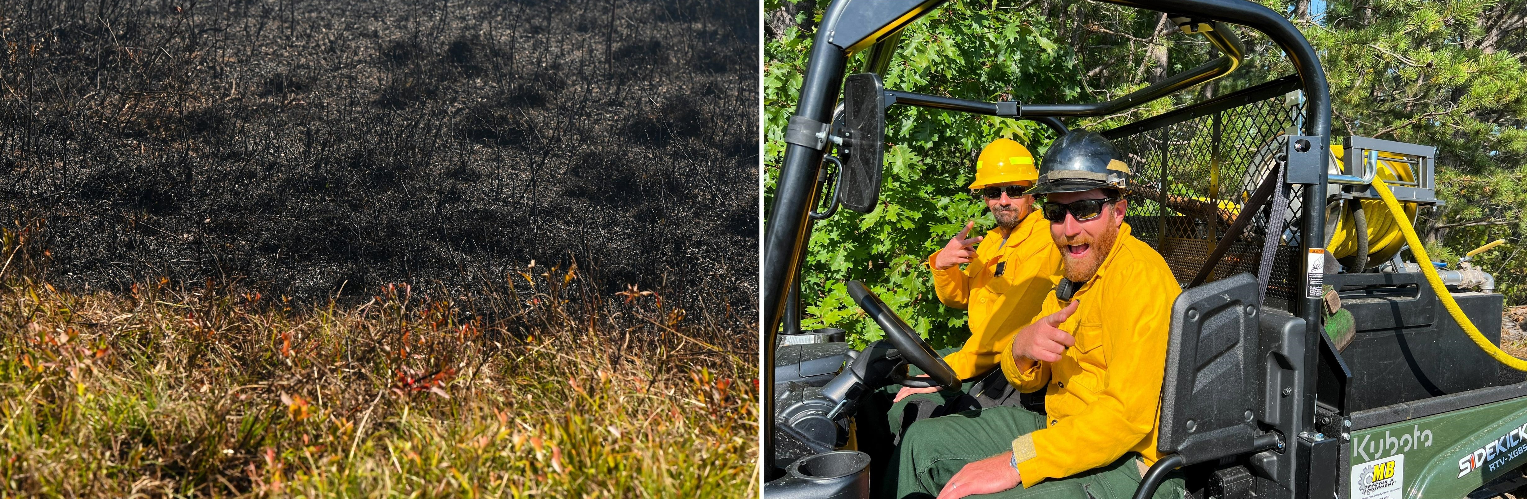 contrast between burned and not burned areas