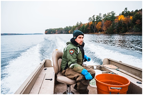 Fisheries biologist driving boat