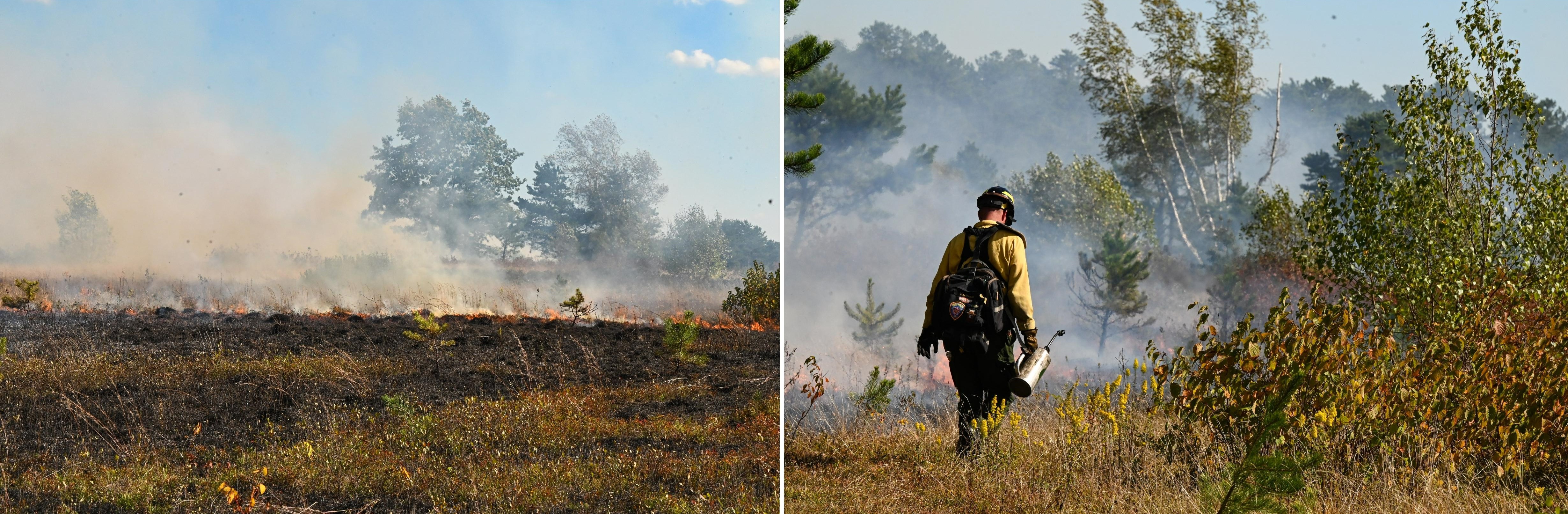 low flames during a prescribed burn