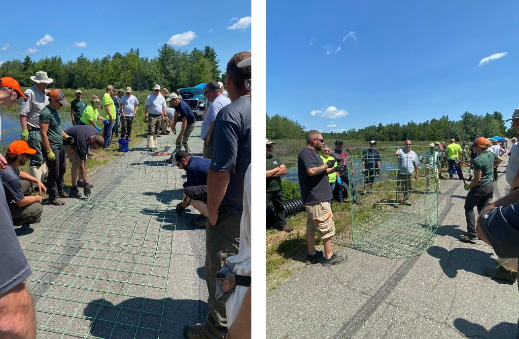 workshop participants in the field