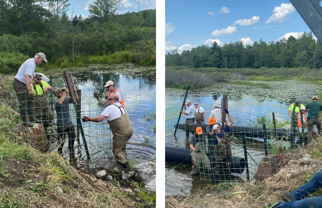 workshop participants in the field