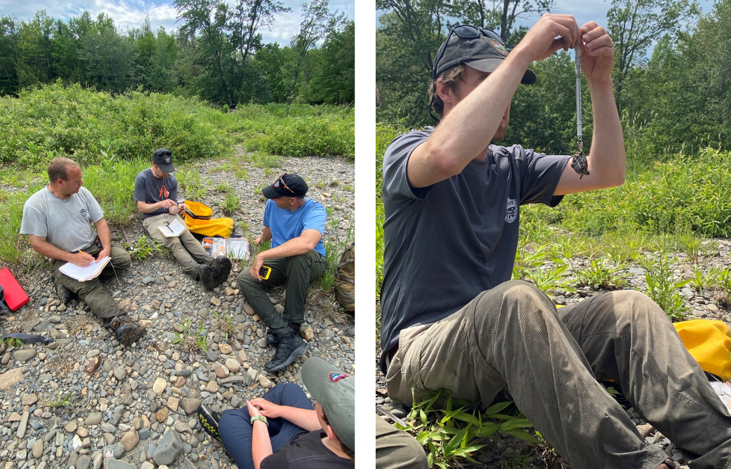 MDIFW team working in the field