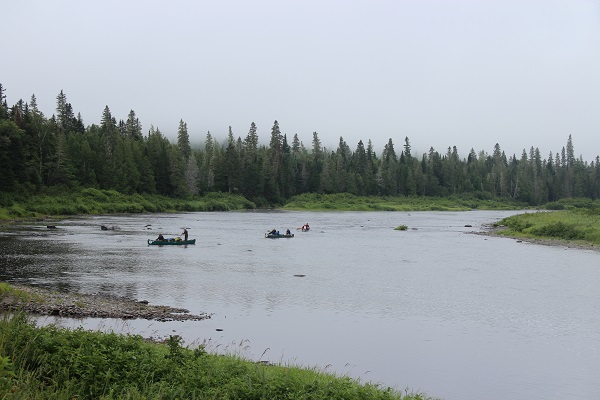 People paddling their canoes through Allagash Wilderness Waterway