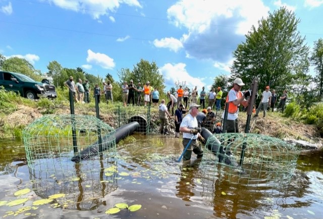 workshop participants in the field