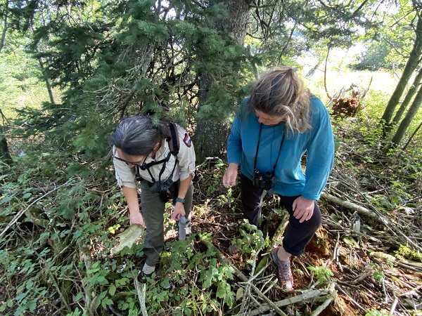 Two people looking down at the ground.