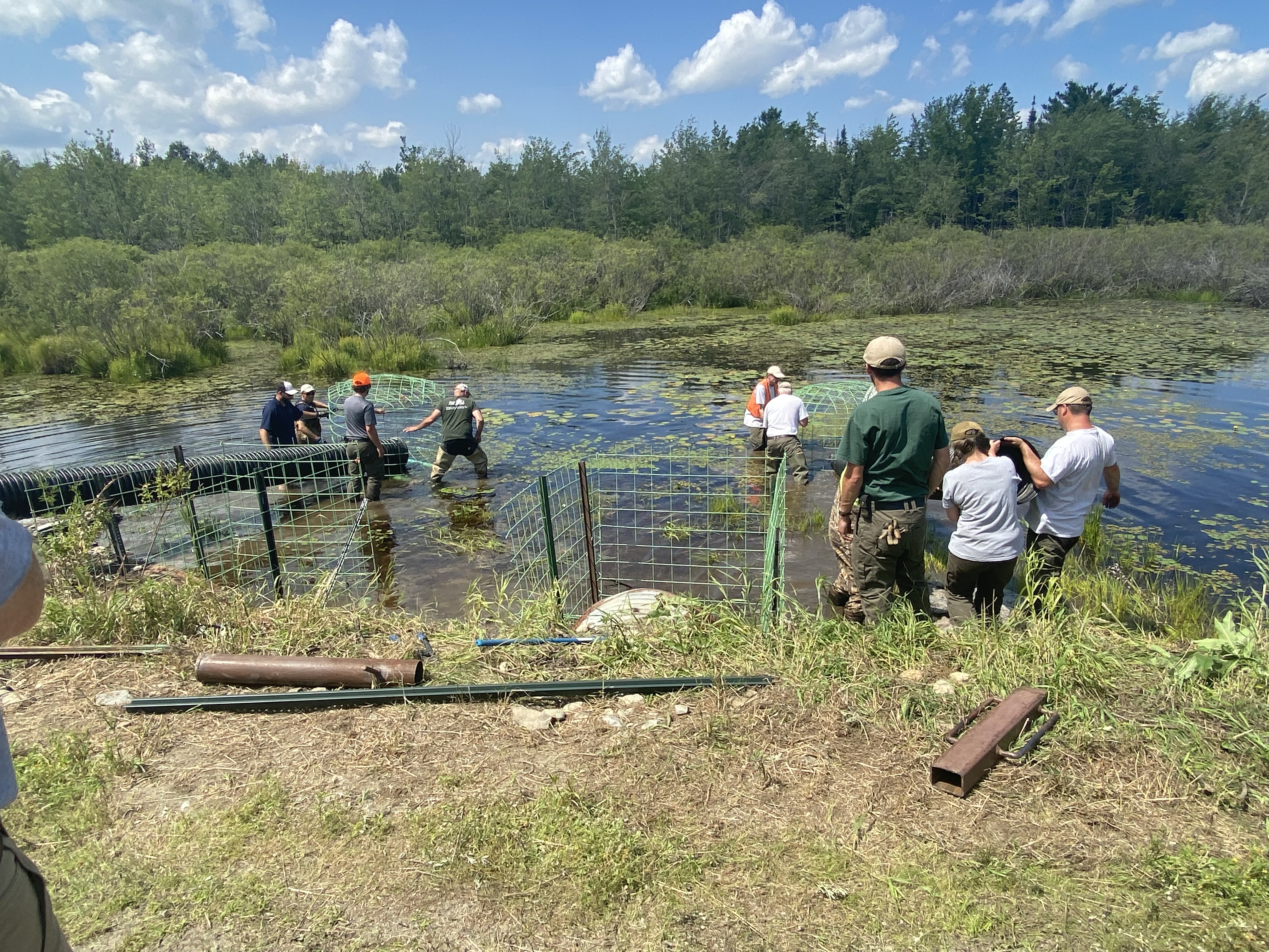 workshop participants in the field