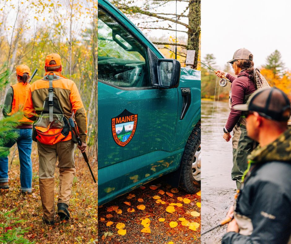 Three images side by side of two hunters, an MDIFW truck, and two fly anglers in fall.