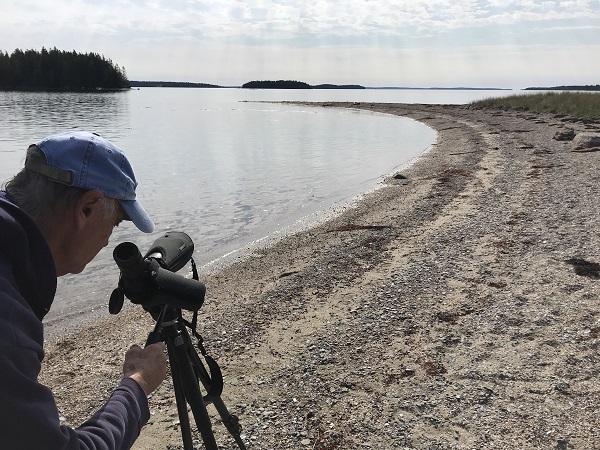 Man looking through a spotting scope toward a beach.