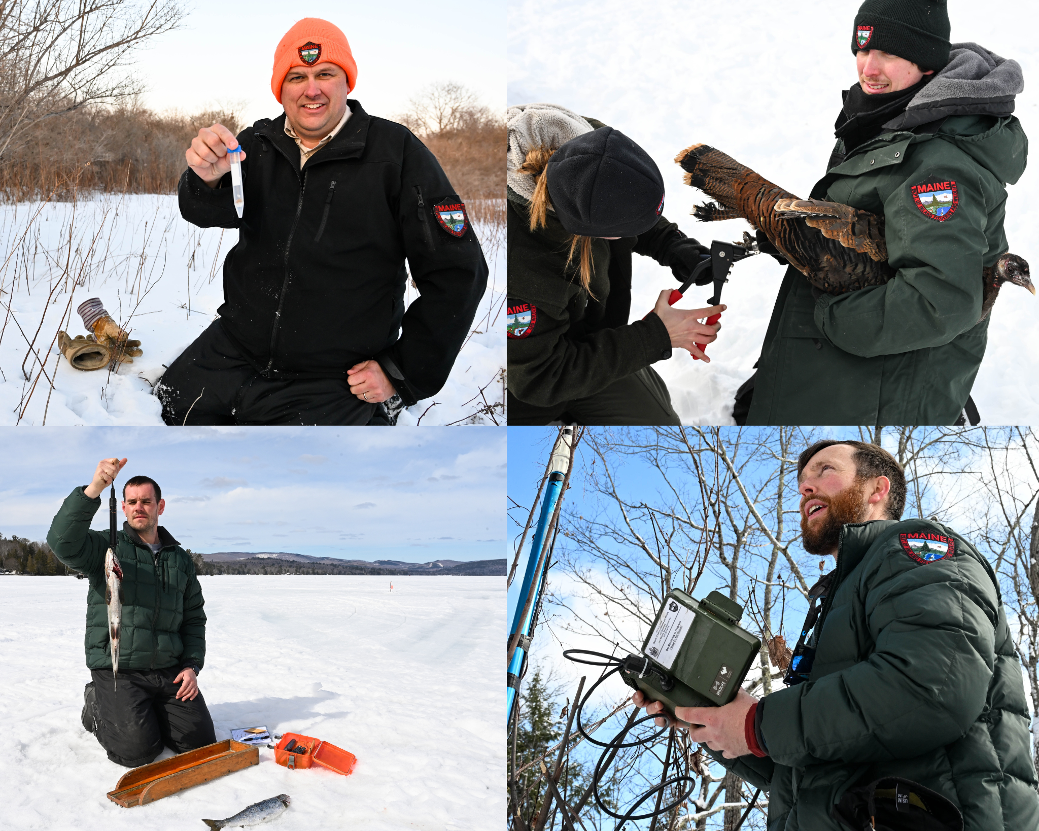 Biologists working in the field in winter