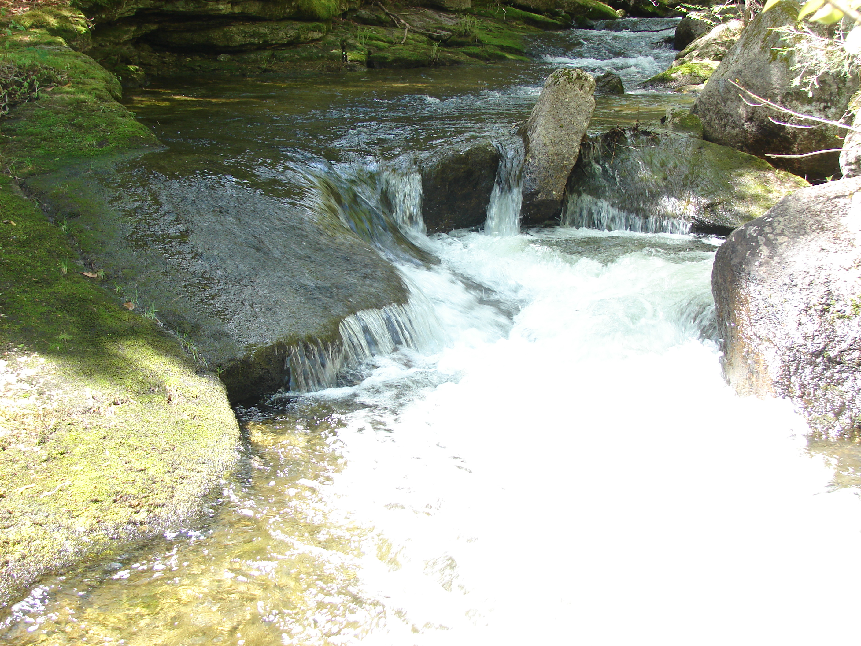 West Musquash Stream