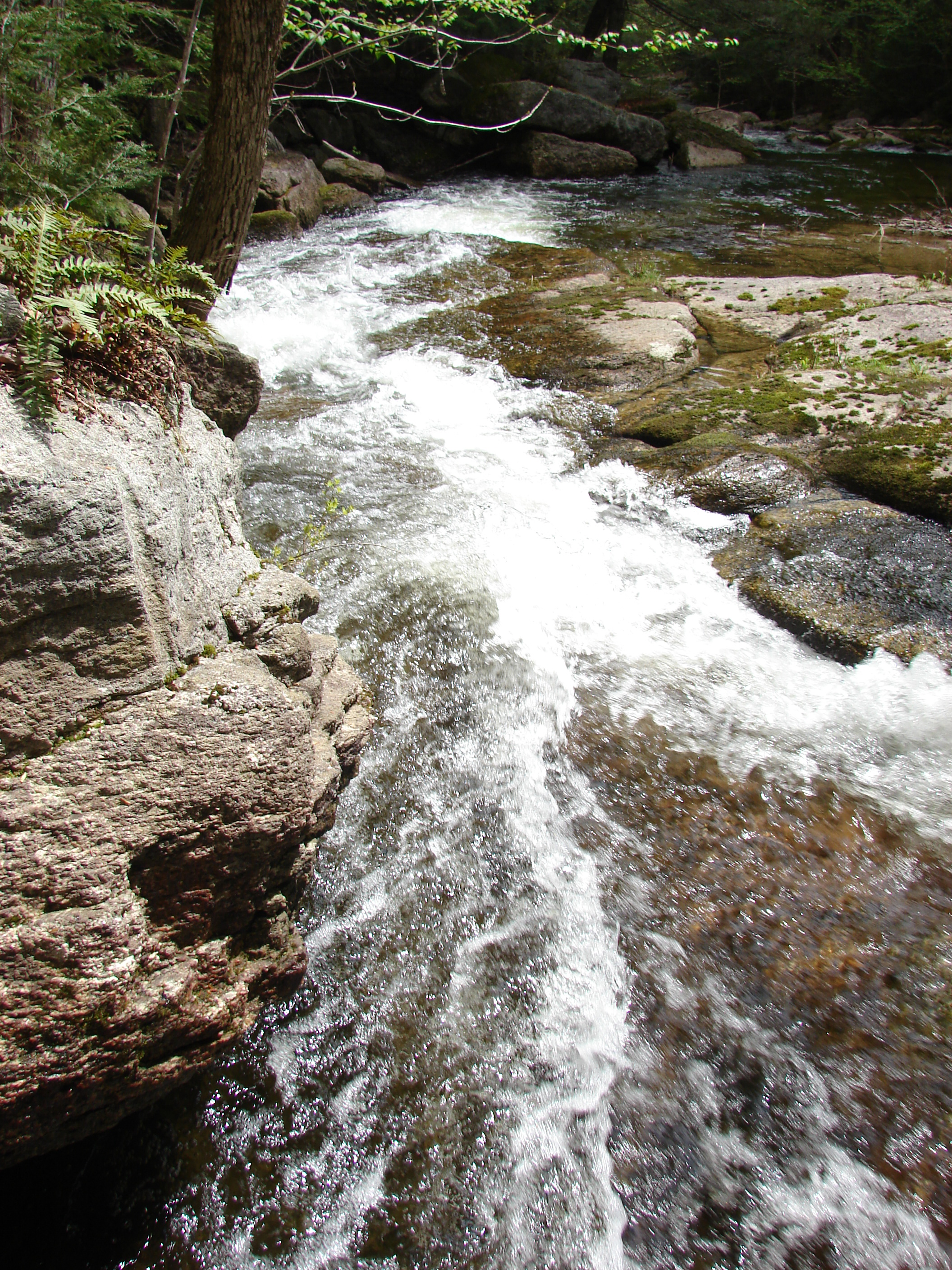 (West Branch of Big Musquash Stream
