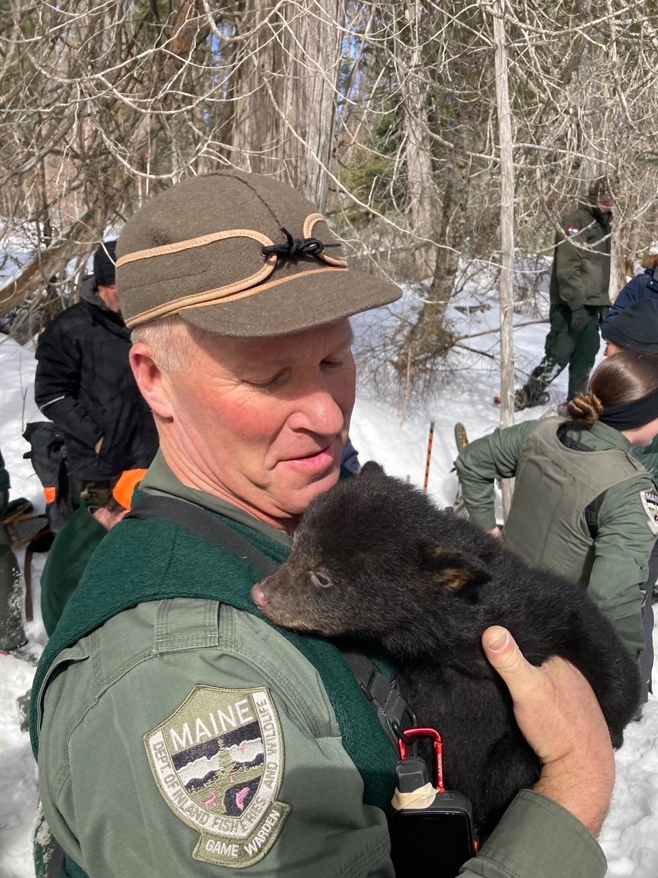 game warden holding black bear cub