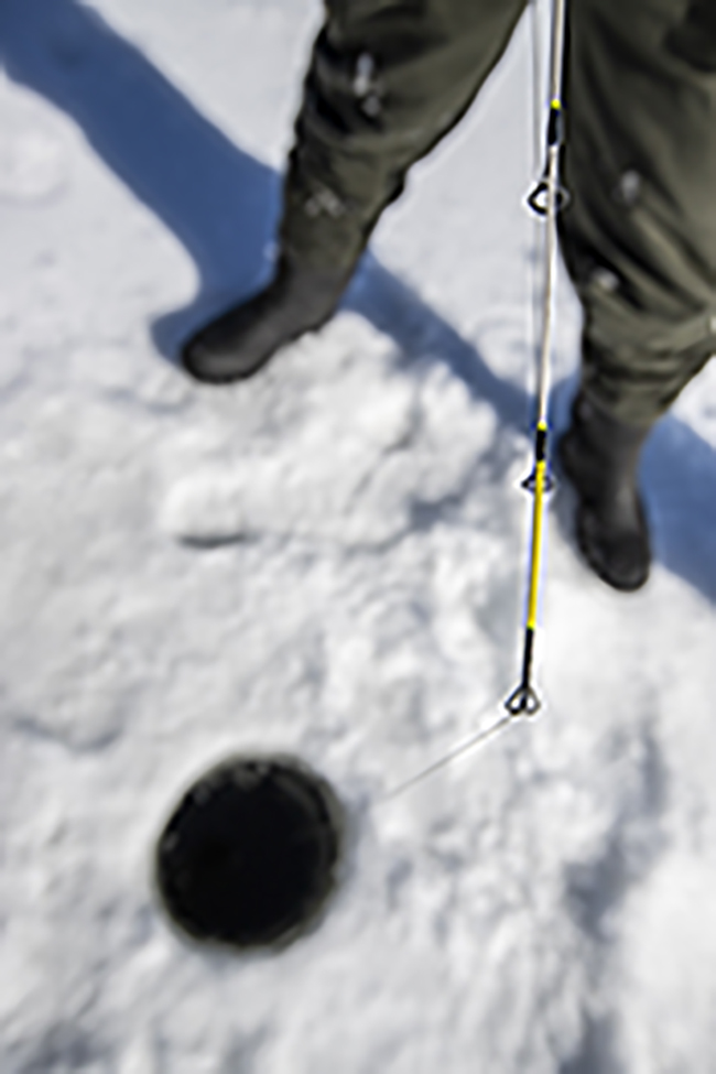 angler jigging through the ice