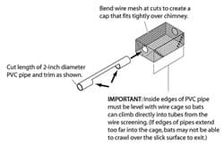 Bats: How to Avoid or Resolve a Wildlife Conflict: Living with Wildlife:  Wildlife: Fish & Wildlife: Maine Dept of Inland Fisheries and Wildlife