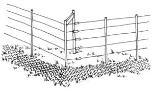 Fence