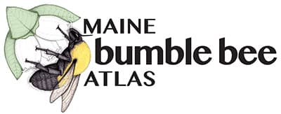 Bumble Bee Atlas logo