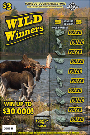 Big Bucks Ticket