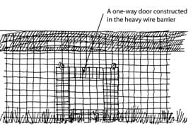 hardware cloth