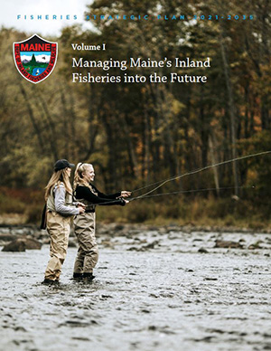 Maine s 2021 2035 Statewide Fisheries and Hatcheries Management