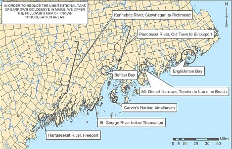 Map showing where Barrow’s Goldeneyes are known to congregate.