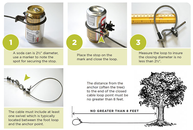 II. Understanding Trapping as a Method in Bear Hunting