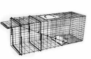 Cage Trap