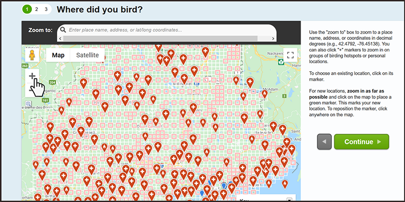 Bird Count India on X: A 4-letter word for every bird In eBird, when  entering your bird list or searching on the map page, you don't need to  type out the name