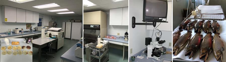 Fish and equipment in health lab
