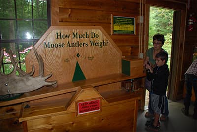Moose Antler Game