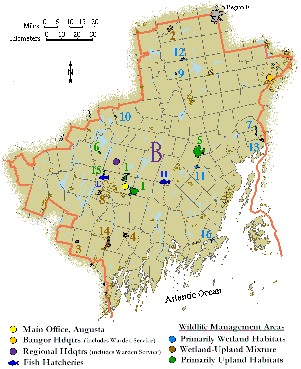 Region B Map