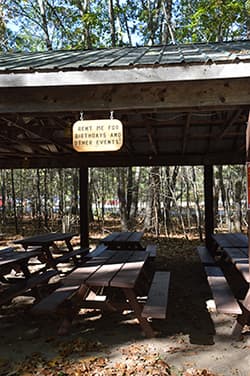 Shelter