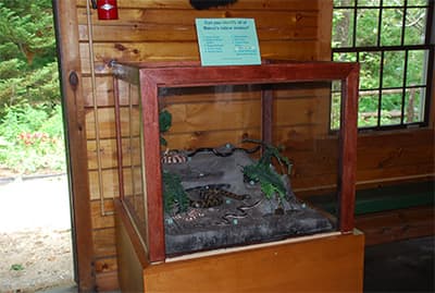 Snake Exhibit