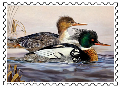 2020 Duck Stamp