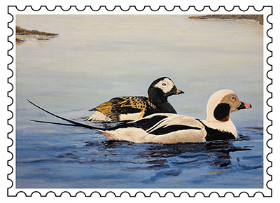 2021 Duck Stamp